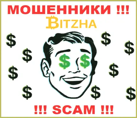 Организация Bitzha - это МОШЕННИКИ !!! Орудуют нелегально, так как у них нет регулятора