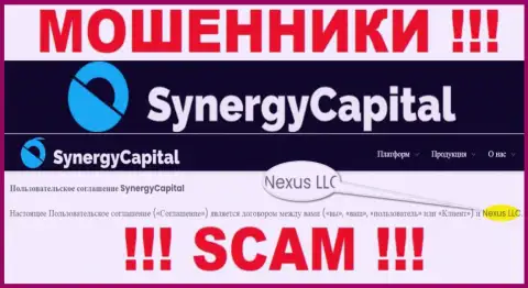 Юр лицо, владеющее мошенниками SynergyCapital Top - это Nexus LLC