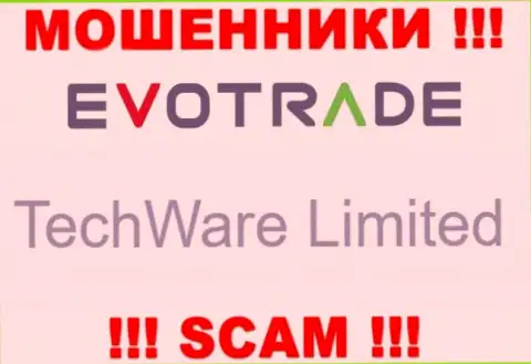 Юр. лицом ЕвоТрейд считается - TechWare Limited