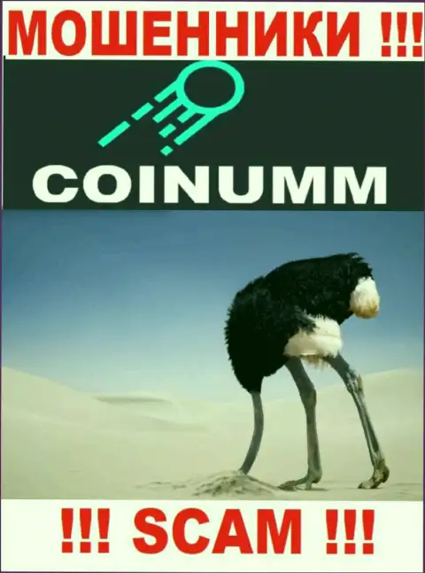 Организация Coinumm Com не имеет регулирующего органа и лицензии на право осуществления деятельности