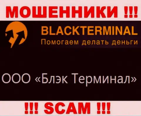 На web-сайте BlackTerminal Ru указано, что юридическое лицо компании - ООО Блэк Терминал