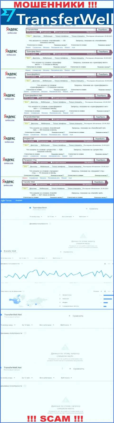 Число онлайн-запросов в поисковиках интернета по бренду махинаторов TransferWell Net