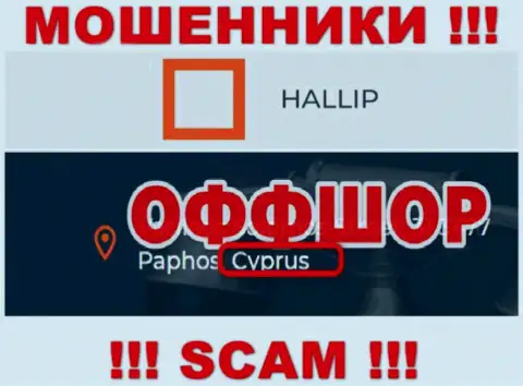 Лохотрон Hallip имеет регистрацию на территории - Cyprus