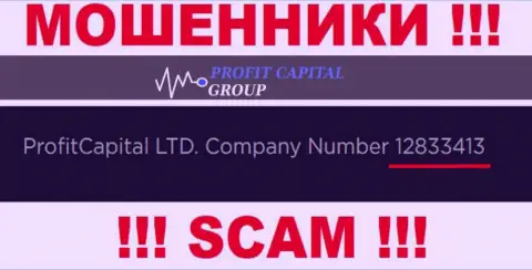 Номер регистрации Profit Capital Group, который показан ворюгами на их сайте: 12833413