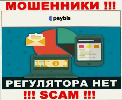 У PayBis на сайте не имеется инфы о регуляторе и лицензионном документе организации, значит их вовсе нет