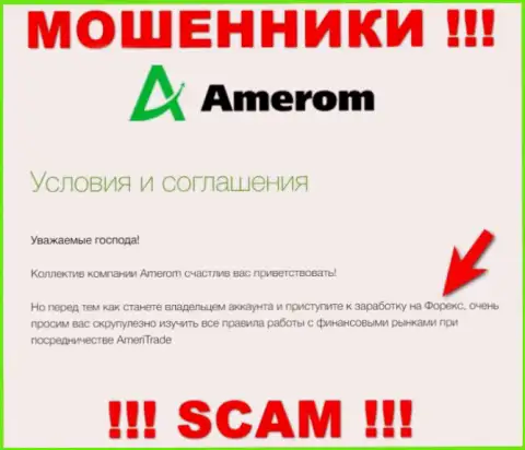 Не доверяйте вложенные денежные средства Amerom De, поскольку их область деятельности, Forex, капкан