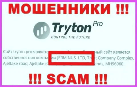 Информация о юр. лице Тритон Про - это компания Jerminus LTD