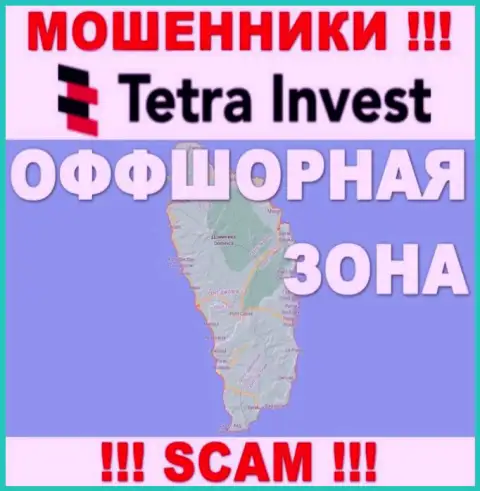 В организации Tetra Invest абсолютно спокойно оставляют без средств доверчивых людей, т.к. скрываются в офшорной зоне на территории - Dominica