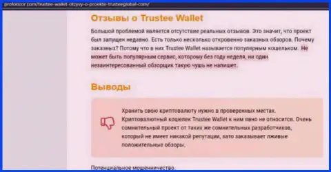 Trustee Wallet - МОШЕННИКИ !!! Отжатие депозитов гарантируют (обзор организации)