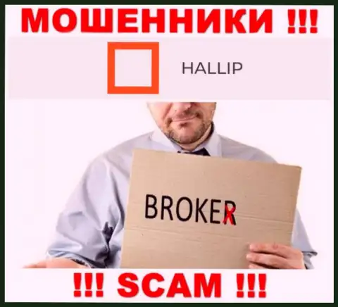 Род деятельности мошенников Hallip - это Broker, однако имейте ввиду это надувательство !!!