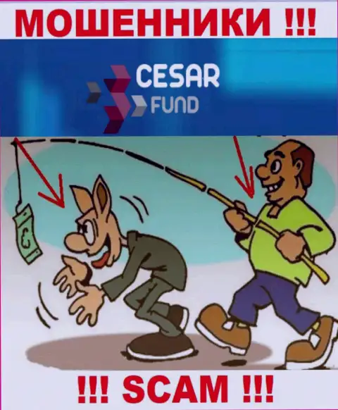 Жулики Cesar Fund подыскивают новых доверчивых людей