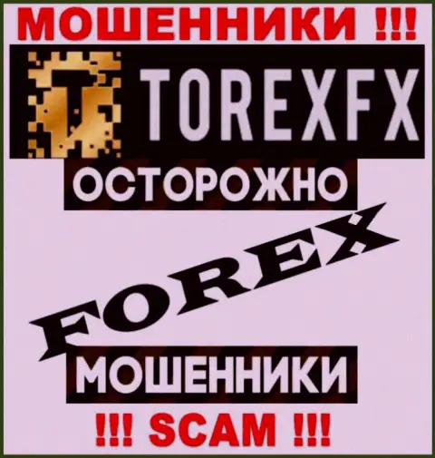 Вид деятельности TorexFX: ФОРЕКС - отличный доход для internet разводил