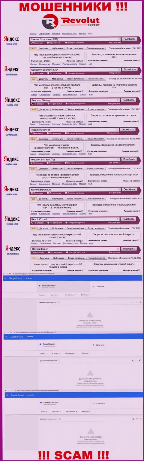 Статистические данные о online-запросах по бренду internet-мошенников Револют Эксперт