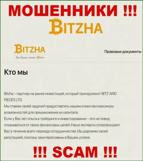 Bitzha24 Com - это настоящие internet-мошенники, вид деятельности которых - Инвестиции
