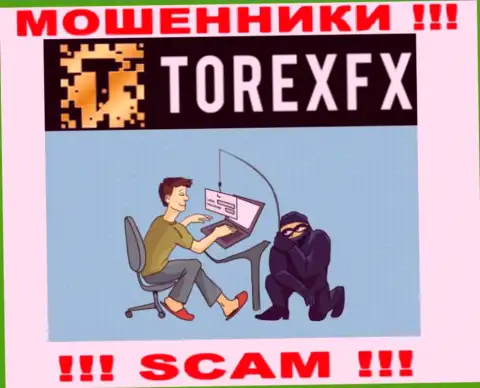 Разводилы TorexFX могут попытаться развести вас на деньги, но знайте - это рискованно