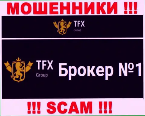 Не надо доверять денежные вложения TFX-Group Com, поскольку их направление деятельности, Форекс, разводняк