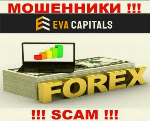 Forex - это именно то, чем занимаются мошенники Eva Capitals