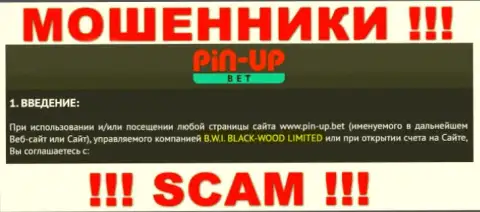 Юр. лицо компании Pin-Up Bet - это B.W.I. BLACK-WOOD LIMITED, инфа позаимствована с официального сайта