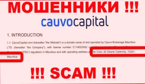 Нереально забрать назад финансовые средства у конторы CauvoCapital - они засели в офшорной зоне по адресу - The Core, 62 Ebene Cybercity, 72201, Mauritius