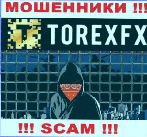 Torex FX скрывают сведения о руководстве организации