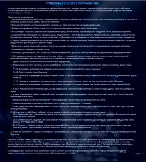 Пользовательское соглашение Зинейра, представленное на web-ресурсе дилингового центра