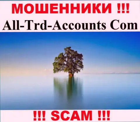 All-Trd-Accounts Com прикарманивают средства и выходят сухими из воды - они спрятали информацию о юрисдикции