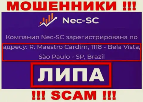 Где конкретно обосновалась контора NEC-SC Com непонятно, информация на информационном сервисе фейк