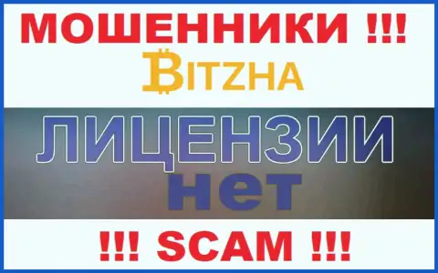 Мошенникам BITZ AND PIECES LTD не выдали лицензию на осуществление деятельности - крадут денежные средства