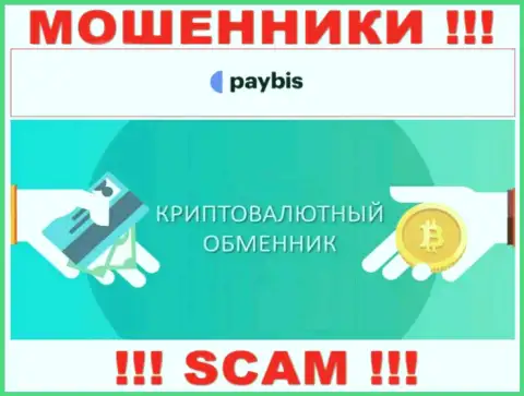 Крипто обменник - это направление деятельности мошеннической организации PayBis