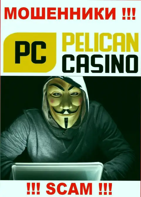 Лица управляющие организацией PelicanCasino Games предпочли о себе не афишировать