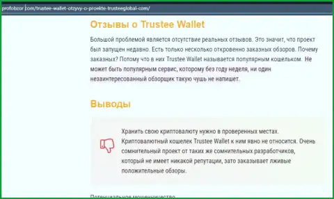 TrusteeWallet - это МОШЕННИКИ !!! Сливают депозиты клиентов (обзор противозаконных действий)