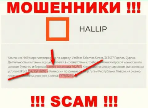 Не имейте дело с мошенниками Hallip Com - наличием номера лицензии, на web-сервисе, затягивают наивных людей