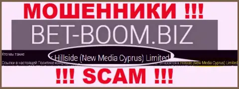 Юридическим лицом, владеющим ворами BetBoomBiz, является Хиллсиде (Нью Медиа Кипр) Лтд