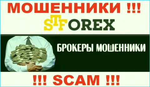 Мошенники ST Forex только задуривают мозги валютным трейдерам, обещая баснословную прибыль