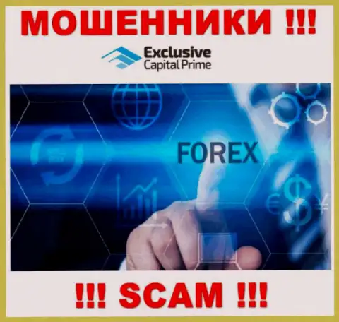 Форекс - это сфера деятельности незаконно действующей компании Эксклюзив Капитал