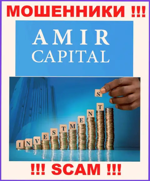 Не отправляйте сбережения в Амир Капитал, сфера деятельности которых - Инвестирование