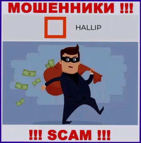 Взаимодействуя с брокерской компанией Hallip Com Вы не увидите ни рубля - не вносите дополнительные финансовые средства