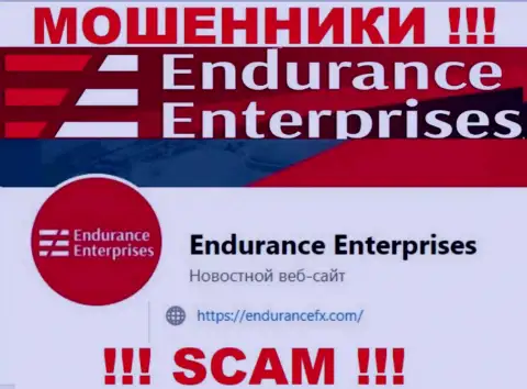 Пообщаться с интернет-мошенниками из конторы Endurance FX Вы сможете, если отправите сообщение им на е-мейл