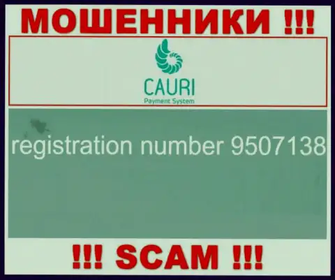 Номер регистрации, принадлежащий противоправно действующей организации Каури: 9507138