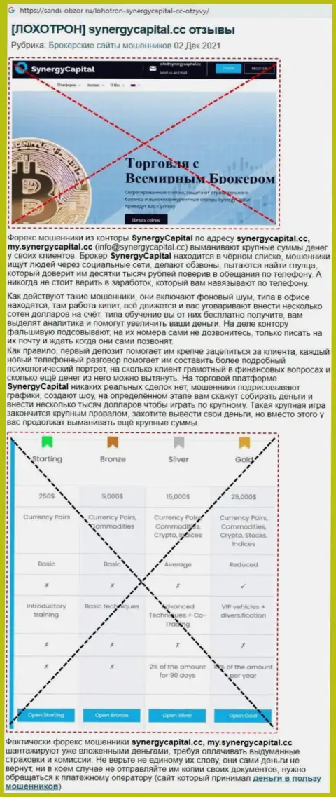 Обзор проделок СинерджиКапитал с описанием всех показателей незаконных деяний